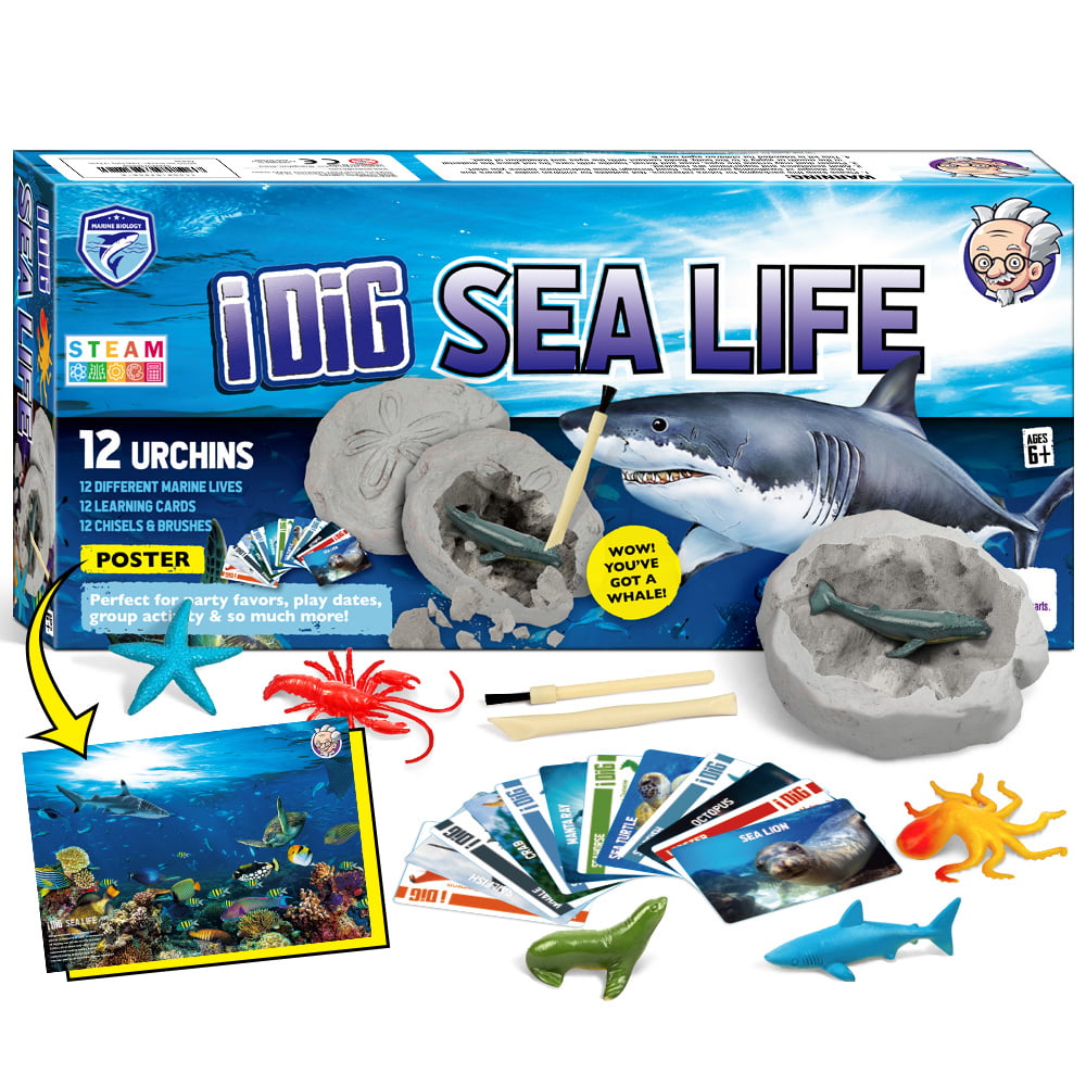 sea animals dig stem