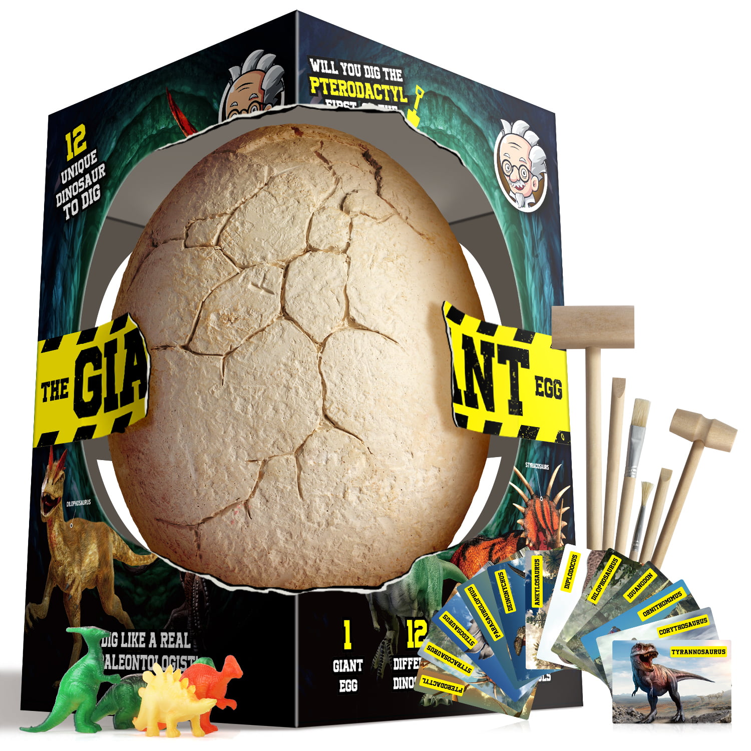 Dinosaur Dig Kit Toys