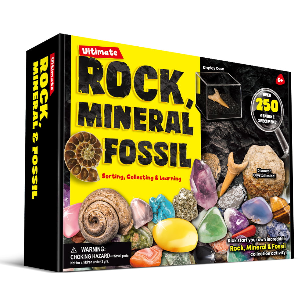 rock educations toys